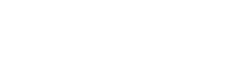 Zemits logo